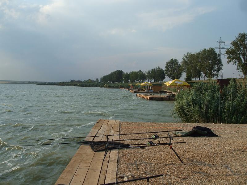 CN 2013-Corbu, CT, Lotul Overten - dscf8020.jpg